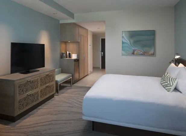 Image for room OKGVAR - zota_511_k 